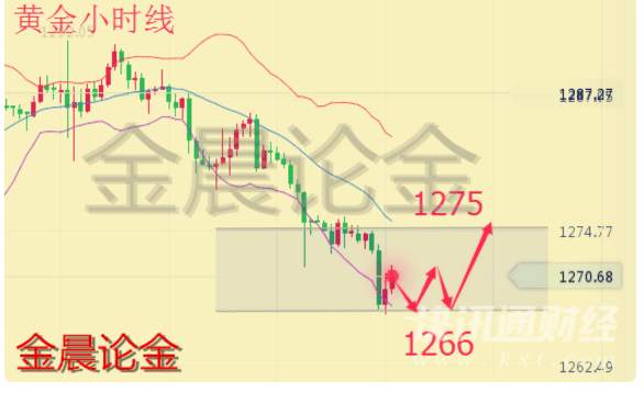 金晨论金：8.17 今日免费开放指导策略，完美布局