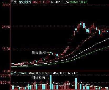 资本散帮：掌握这些特征，买在牛股启动前！