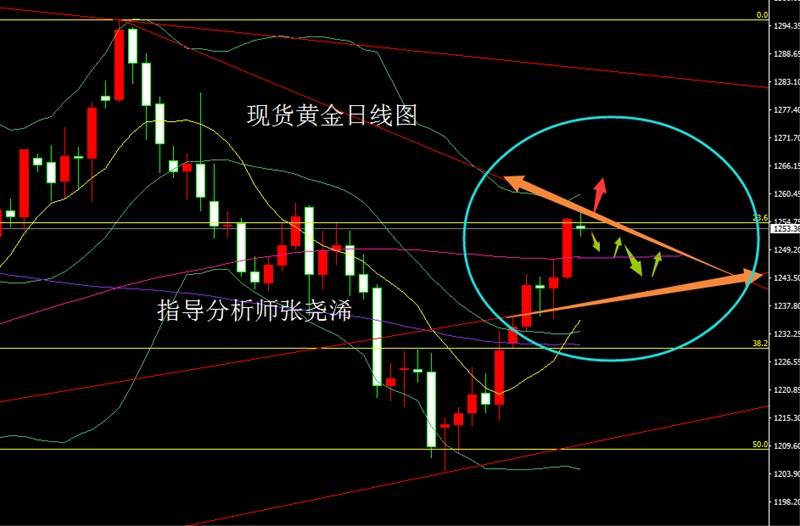 张尧浠：欧美PMI初值预期偏低、金价回落之后进多持有