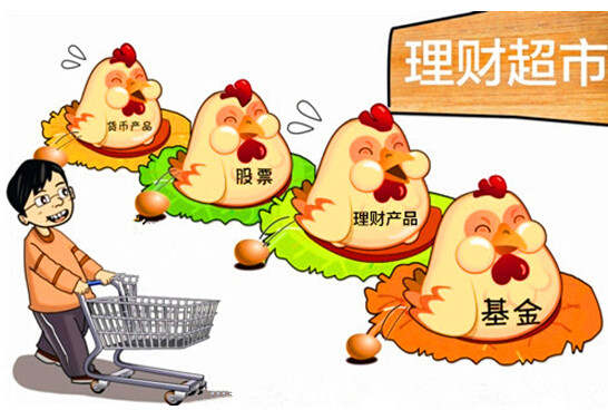 金椽栐：财务风险要防范哪几点？