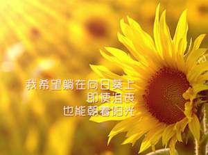 资本猎涨：成功抄底的技巧和注意事项 - 李彤心