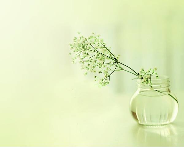 包嬿语：黄金多头起死回生，空单套死一片，千三还远吗？