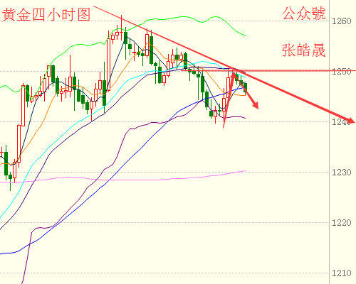 张皓晟:黄金受压需短线回调,现货原油看回落修正