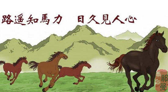 9.19黄金直逼千三关口，岌岌可危，扛单走开，顺势空！