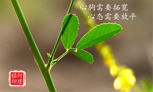 何瑾铭5.2黄金开市暴跌之谜，铜走势分析