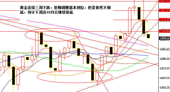 Followme反弹,企稳,中线,调整,修正,原油