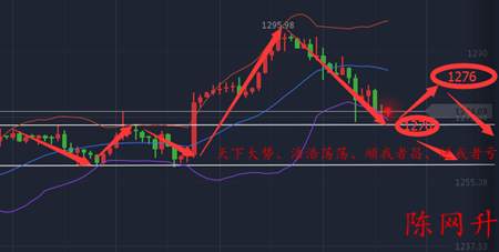 Followme特雷莎,梅将,悬浮,投票,组建,议会