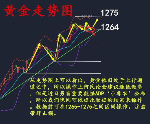 何氏论金ADP小非农大数据，8.2黄金如何操作附解套