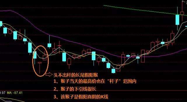 资本散帮：新股民，仅一招就能轻松盈利！