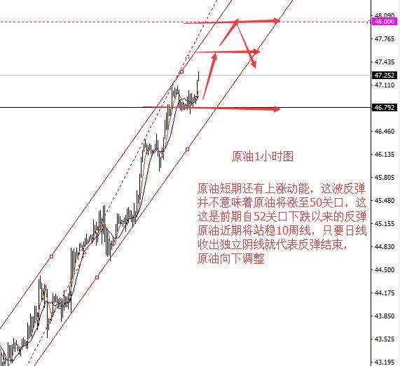 Followme黄金,天涯,原油,收益率,踏空,止损