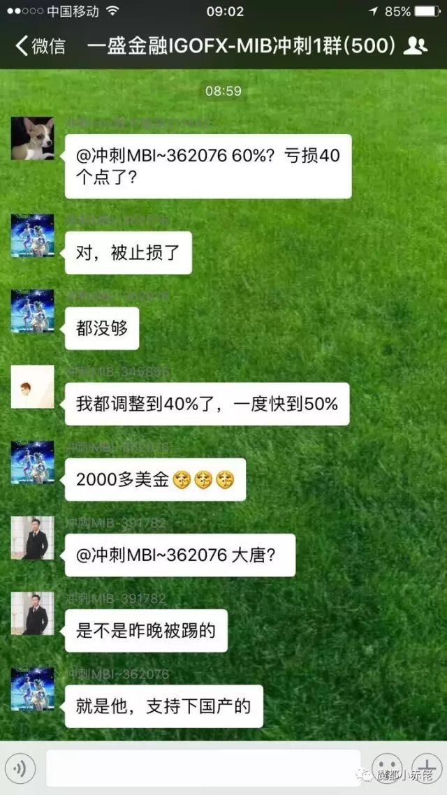 IGOFX 一头披着“外汇”衣服的诈骗狗！