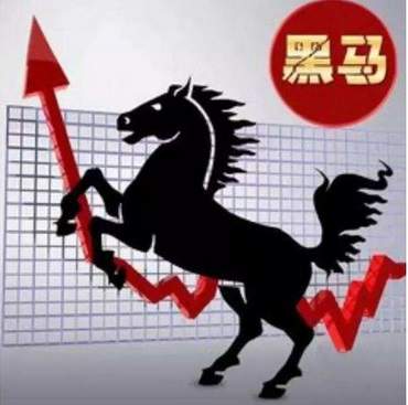 资本散帮：如何捕捉黑马股？