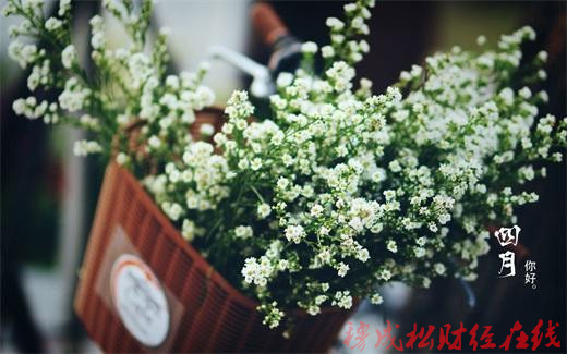 穆成松：人间四月初夏到来，把握汇市行情（解套）