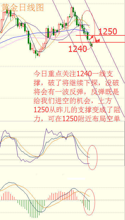 善财有金：6.20黄金随势而落，黄金原油如何操作?