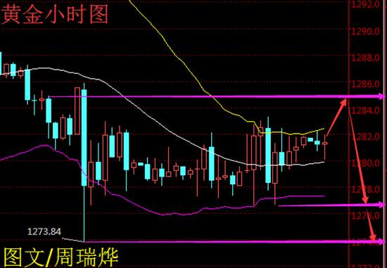 Followme周瑞烨,黄金,大选,破位,建议,下轨