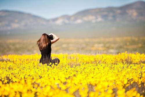 秦梓昕：11.3周线收官碰上大非农，黄金多空鏖战鹿死谁手？