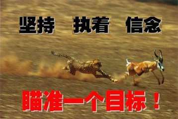金椽栐：8.15美元走强引黄金下挫，三重利空带走原油
