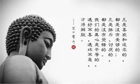 银僧谈金:YS操作论之专业化做单