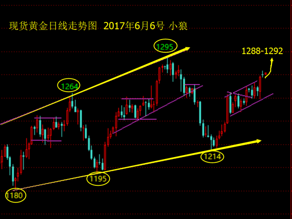 小狼：黄金1284分水岭，突破中阳拉高