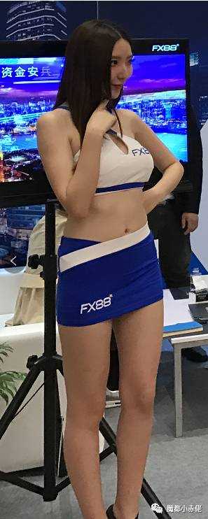 美腿、大胸、美女销售、保安、横幅一个都不能少——妙公子点评5.9-10日上海外汇展览会