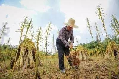 国务院与人力资源和社会保障部新规:职业资格证有补贴,人口缺口百万