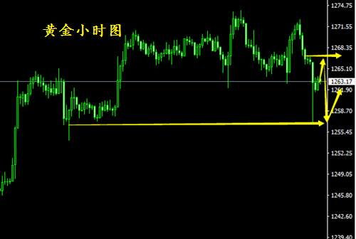 8.3黄金顺势反弹还看空，原油震荡有望破高