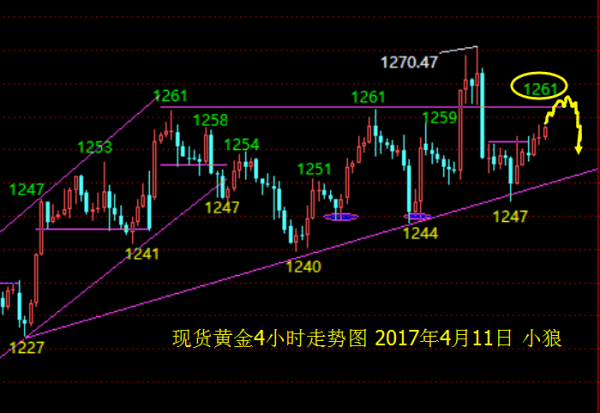 小狼:黄金关注1261压力,原油继续做多
