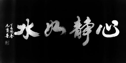 feed-image-0