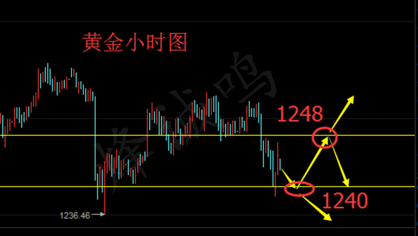 追涨杀跌无情被套？黄金后市分析与多空单解套