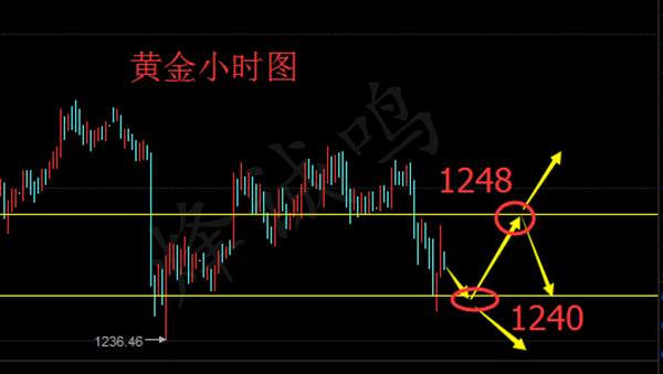 追涨杀跌无情被套？黄金后市分析与多空单解套