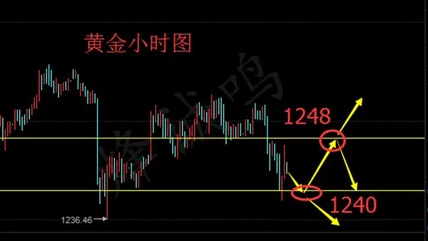 追涨杀跌无情被套？黄金后市分析与多空单解套