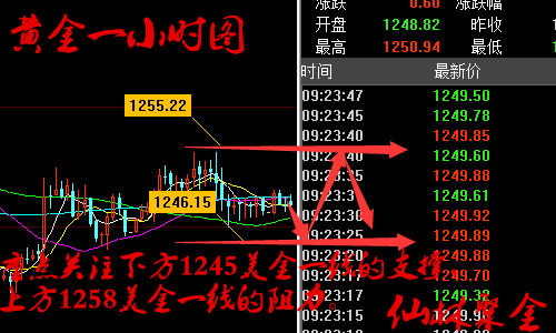仙林聚金:6.29黄金、原油今日走势分析及操作策略附解套