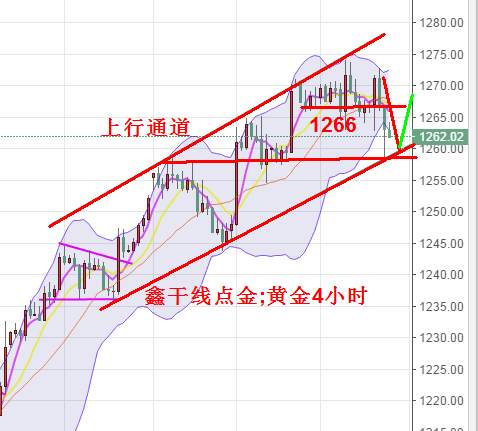 鑫干线点金：8.3黄金调整先空后多，原油观望等待欧盘