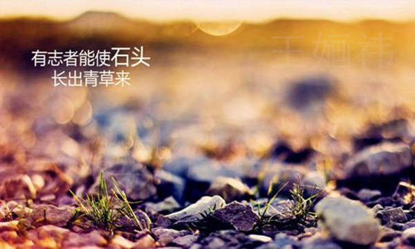王婳祎：9.25黄金开盘高开低走，多头难道就此终结？
