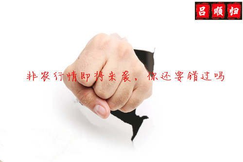 顺归话金：午间黄金暴涨，风暴过后必将迎来曙光