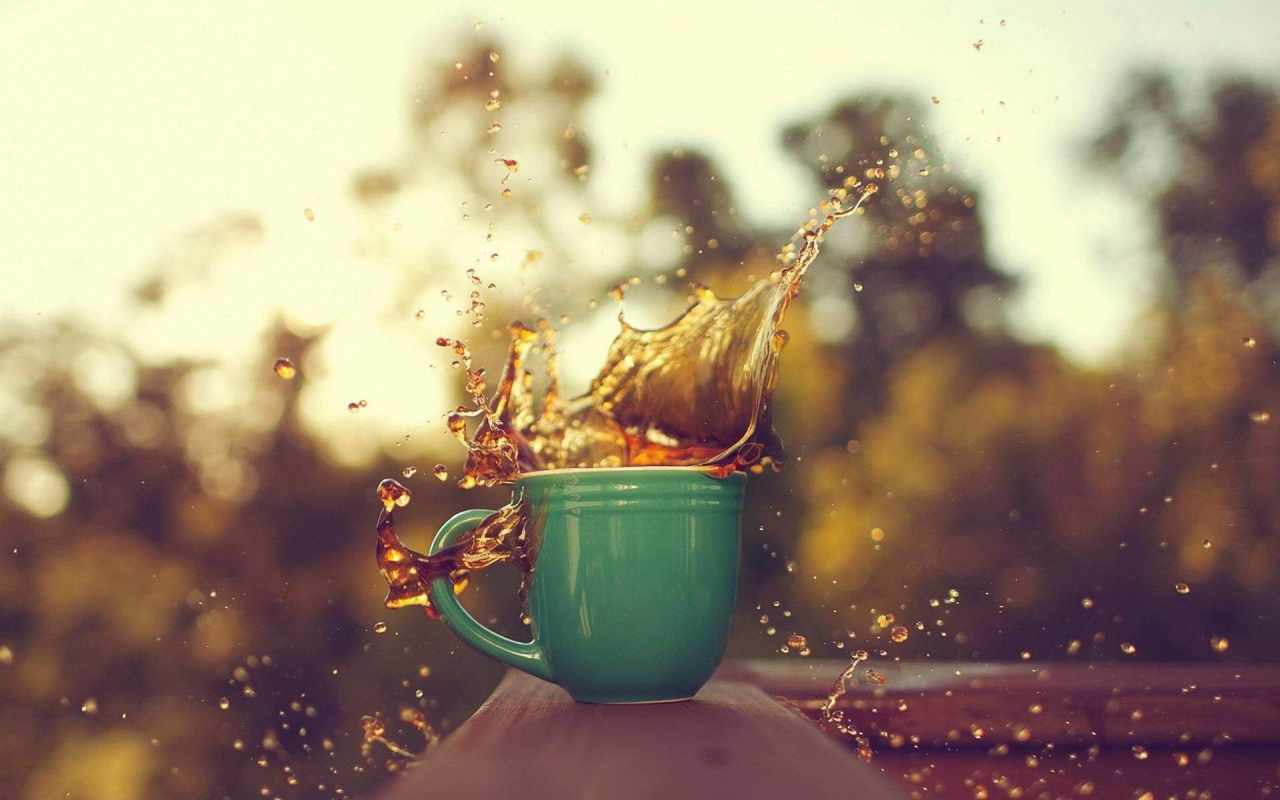 feed image