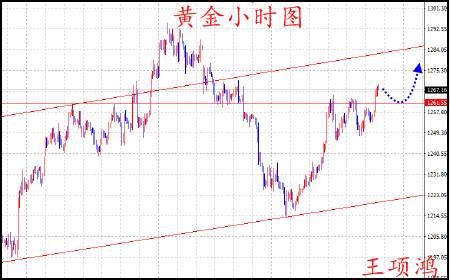 Followme特朗普,黄金,止损,消息面,企稳,项鸿