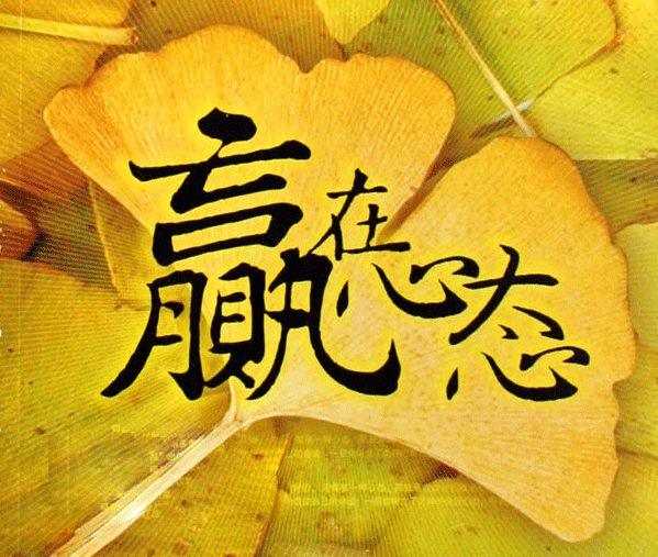 朝花金拾：如果你点开了这篇帖子，我也不会让你失望
