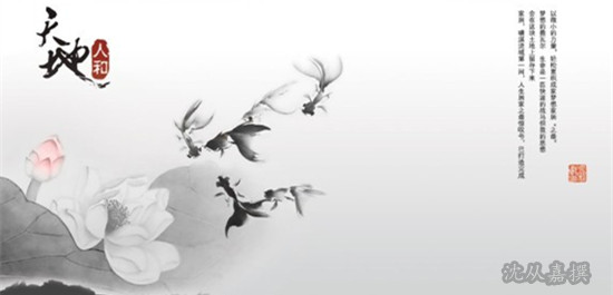 feed-image-0