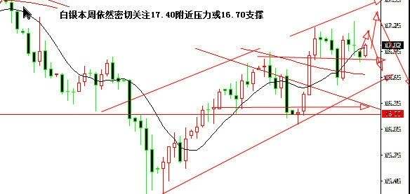 黄金原油：8.21晚评双顶或诱多 - 资本猎涨