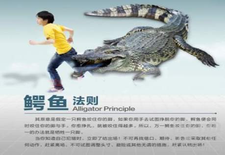 天竞点金：有多少人是被盈利计划骗进来的，揭秘你心中的疑问点！