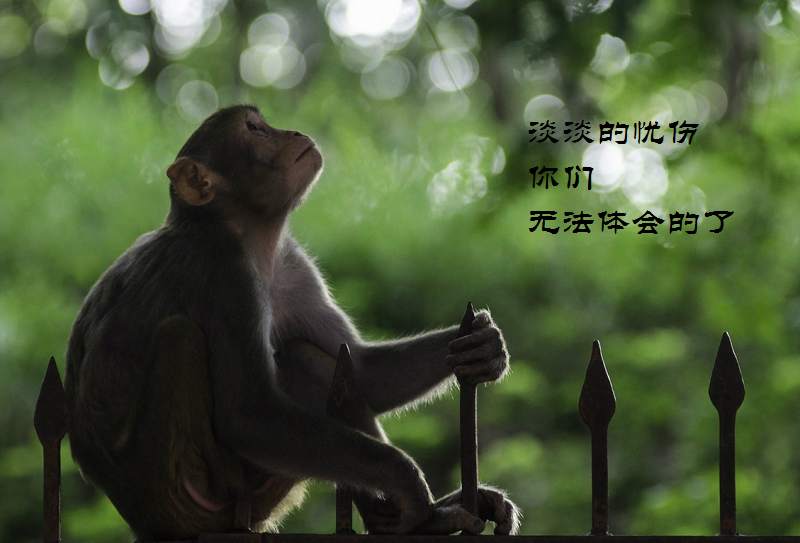 交易大赛-峰回路转的辣眼睛大戏频频上演