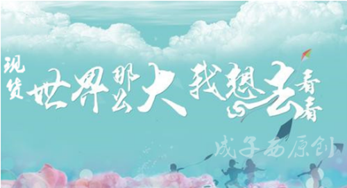 成子西：如何追单？如何解套？行情这么大却没赚到钱？？