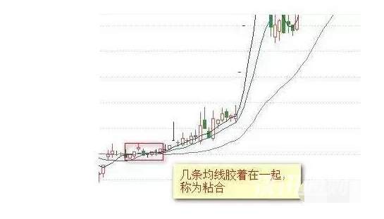 天竞点金：均线买入的法则
