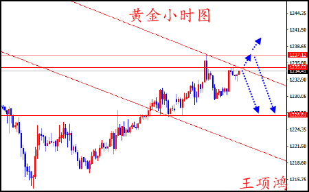 王项鸿:5.16黄金冲高受阻力1235看回落,原油逢低做多