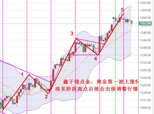 Followme点金,干线