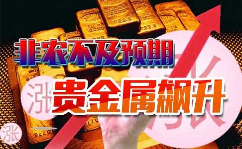 秦涛赫：周线收官非农令人失望，11.3黄金尾盘应该如何操作