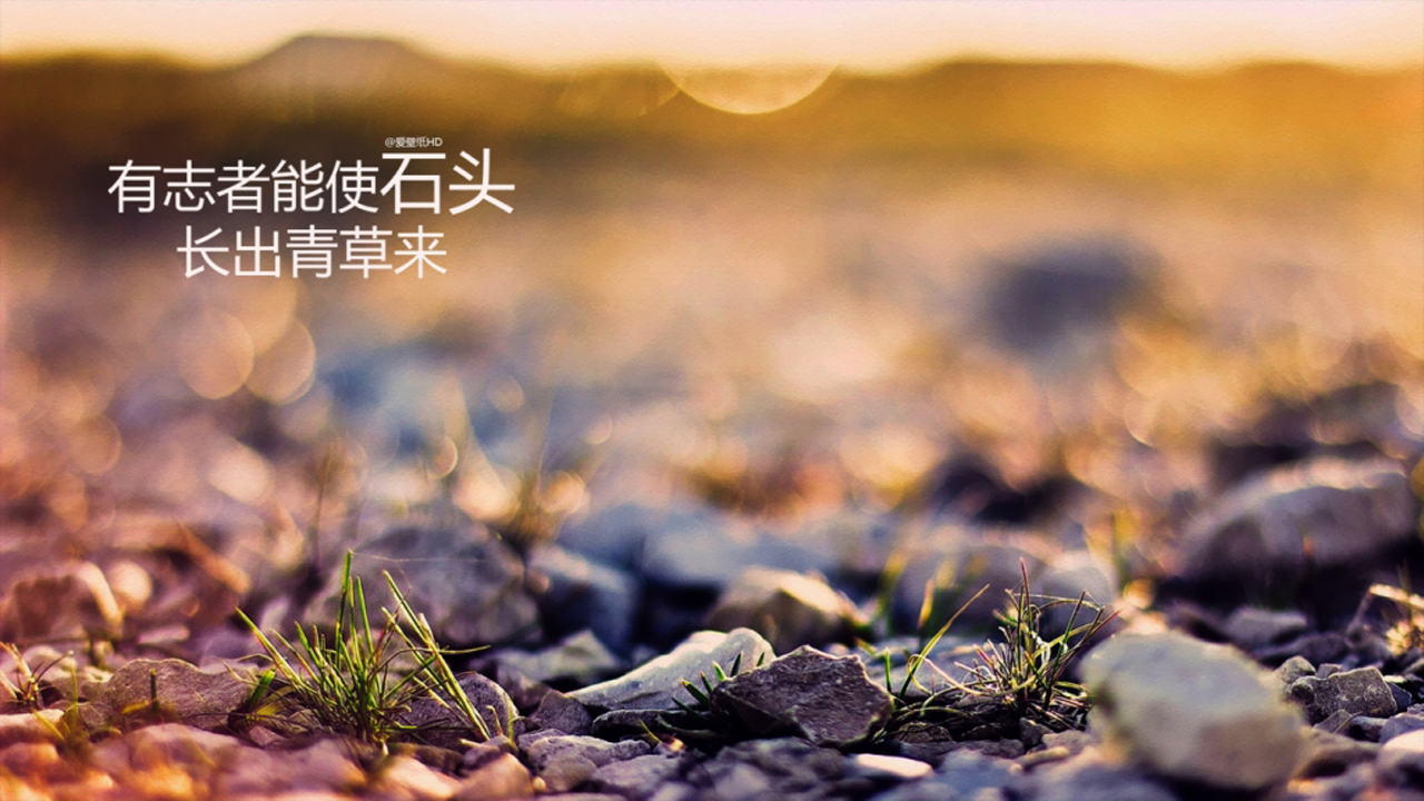 王铭致:投资市场鱼龙混杂,该如何取之有道?
