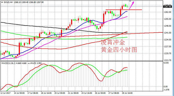 Followme原油,小时,强势,修正,支撑,黄金