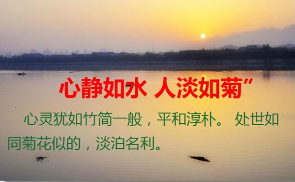 沈云伊:8.26生财有道!投资黄金只为盈利!一周所得54点够不够!